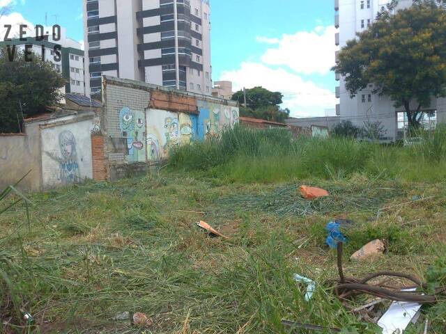 #210 - Lote para Venda em Belo Horizonte - MG - 3