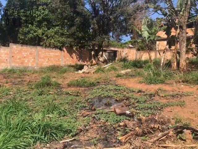 #258 - Chácara para Venda em Mário Campos - MG - 1