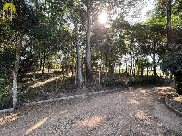 #373 - Terreno para Venda em Mário Campos - MG - 1