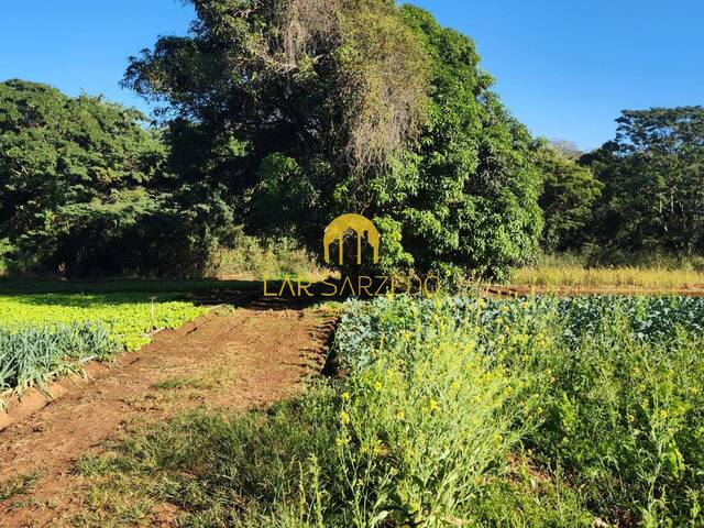 #968 - Terreno para Venda em Mário Campos - MG - 1