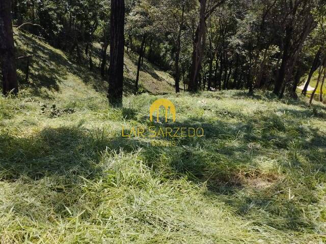 #156 - Terreno para Venda em Mário Campos - MG - 3